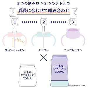 日本 Richell - 貴婦狗吸管學習水杯 5個月 200ml