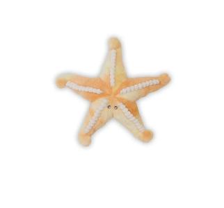 Plush Star Fish